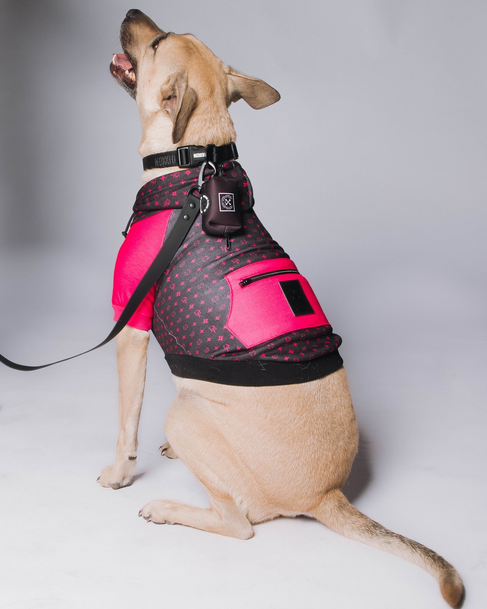 Bougie Dog Hoodie - Pink & Black - Image 4